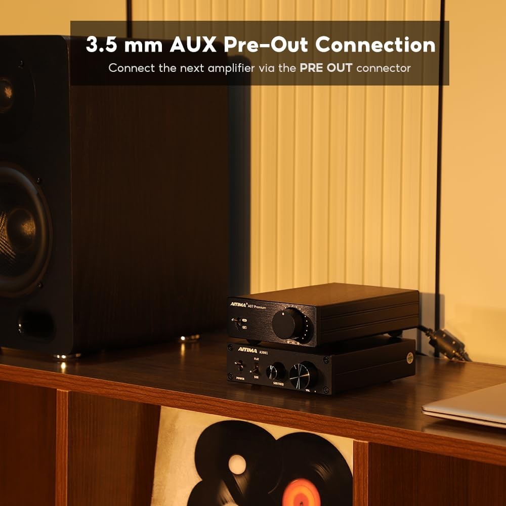 HiFi Class D Amp 300Wx2 Stereo Amplifier with Pre-Out