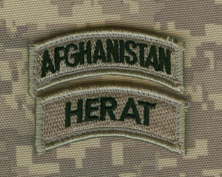 DIPLOMATIC SECURITY DDS ANTI-TERRORISM ASSISTANCE PROGRAM velkrö DynCorp PATCH