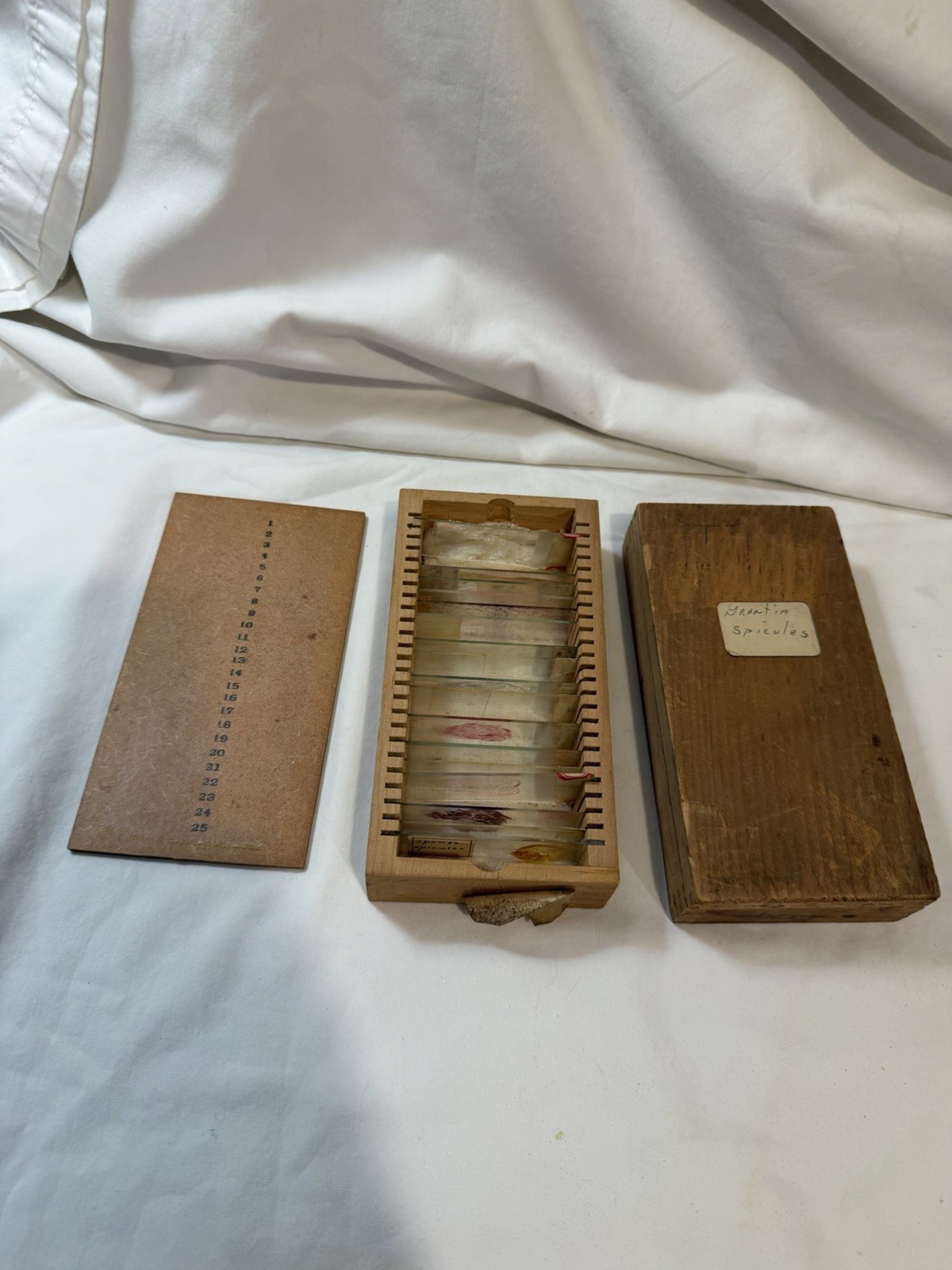 Vintage Microscope Medical Lab Slides