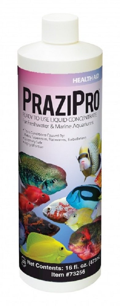 Hikari Prazipro 16 oz Fish Treatment
