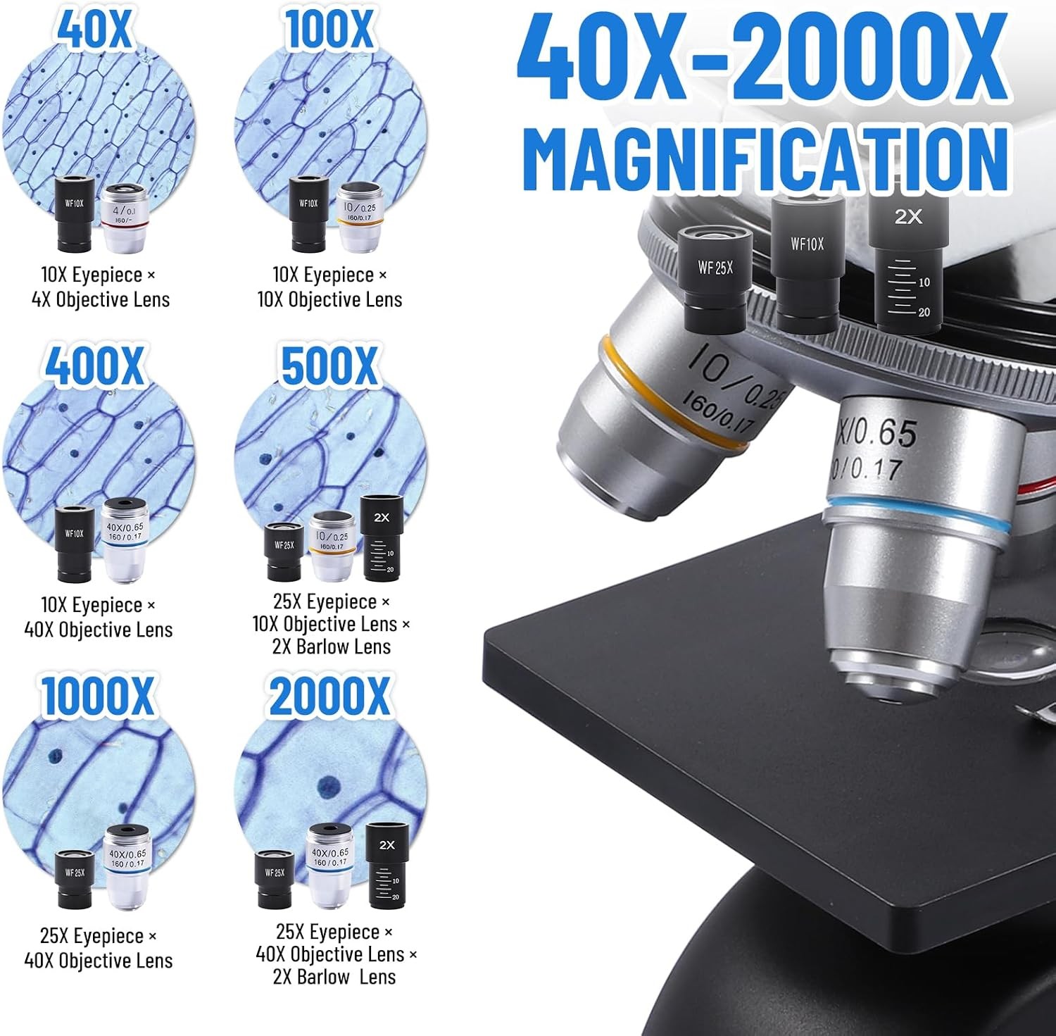 Professional Monocular Compound Microscope Kit 40-2000X Magnification