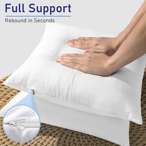 Pack of 4 12x20 Outdoor Pillow Inserts, Water 12x20 inch White （4 Pack）
