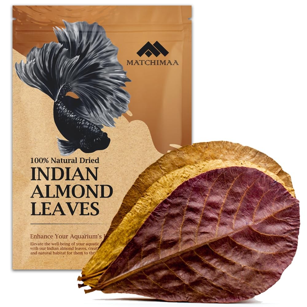 Premium Indian Almond Leave. Aquarium Decorations Size 6-9" Pack 50g(20-25