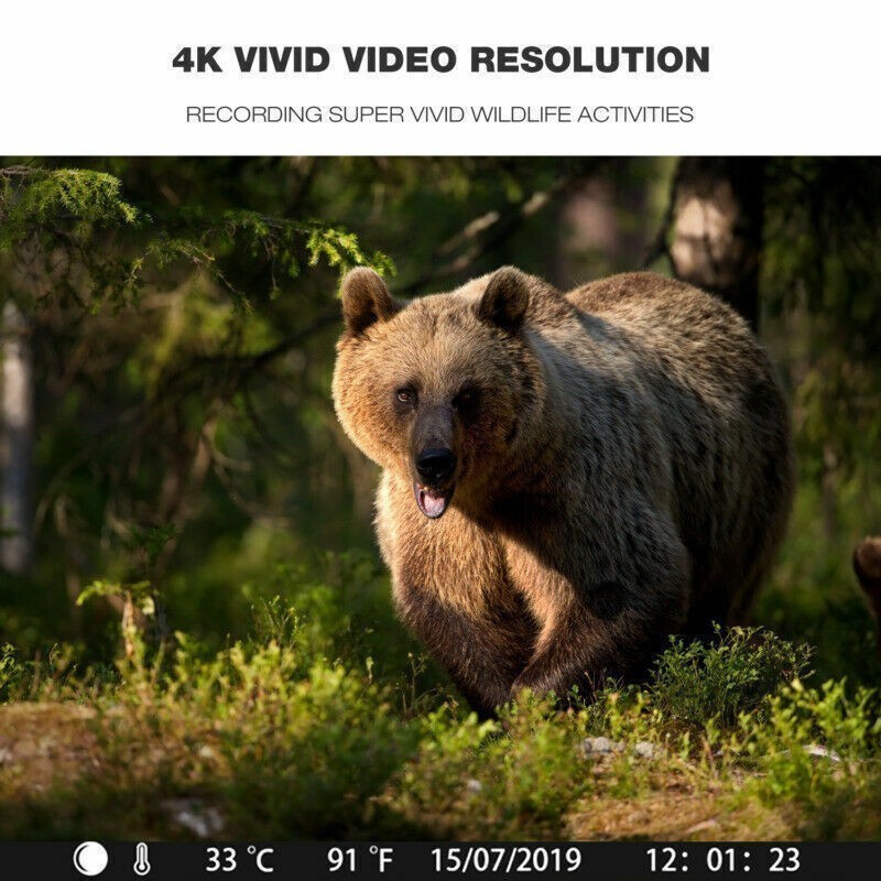 4K Hunting Trail Camera WiFi Bluetooth 30MP Wildlife Waterproof Cam Night Vision