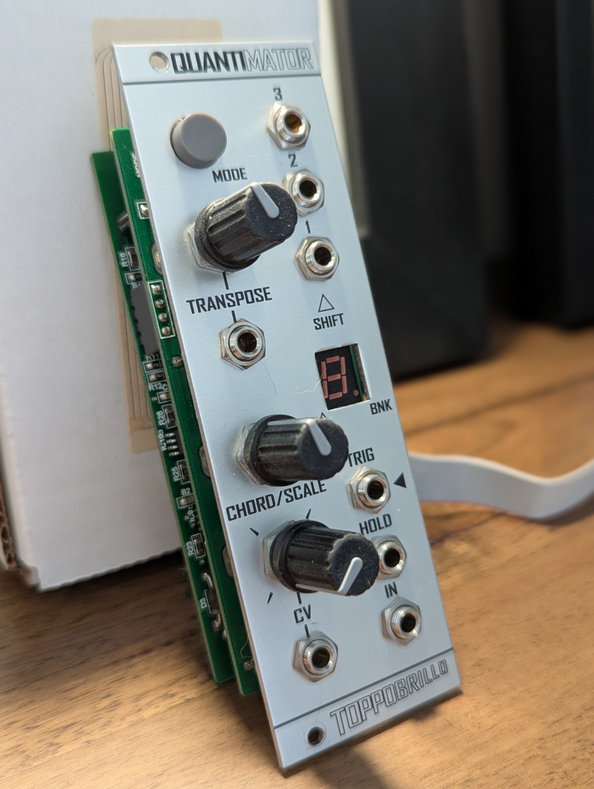 Toppobrillo Quantimator - Eurorack Module