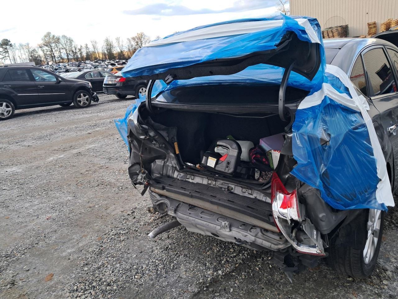 SENTRA 2018 Glove Box 4891491