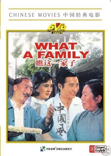 Learning Chinese - Chinese Movies - What A Family - DVD