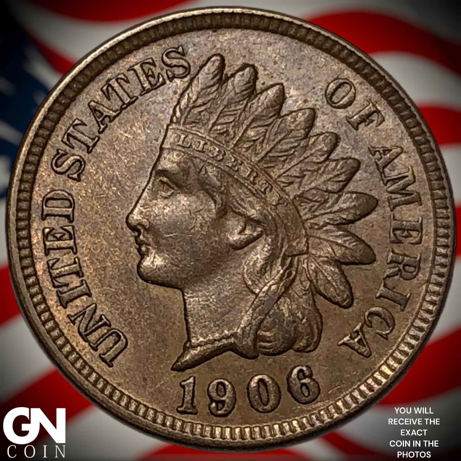 1906 Indian Head Cent Penny Y0015