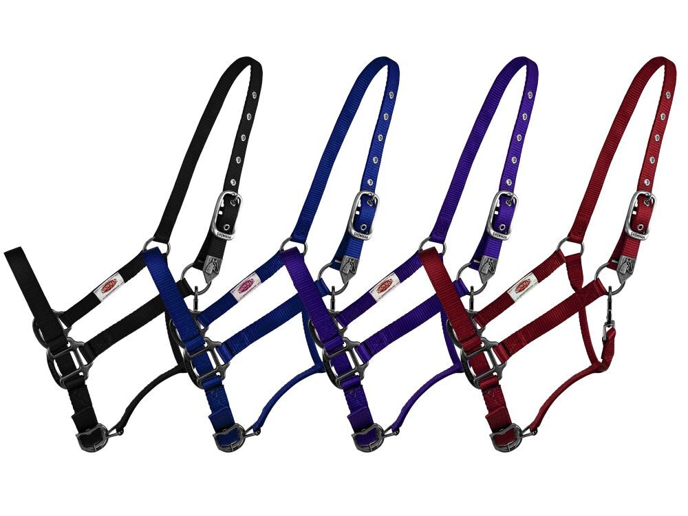 SHOWMAN PREMIUM Thick Adjustable Nylon Halter Throat Latch Clip HORSE 15996