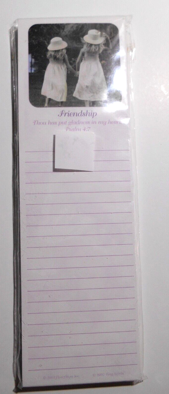 FRIENDSHIP Psalm 4:7 Lined Magnetic List Note Pad LITTLE GIRLS 8 x 2.75"