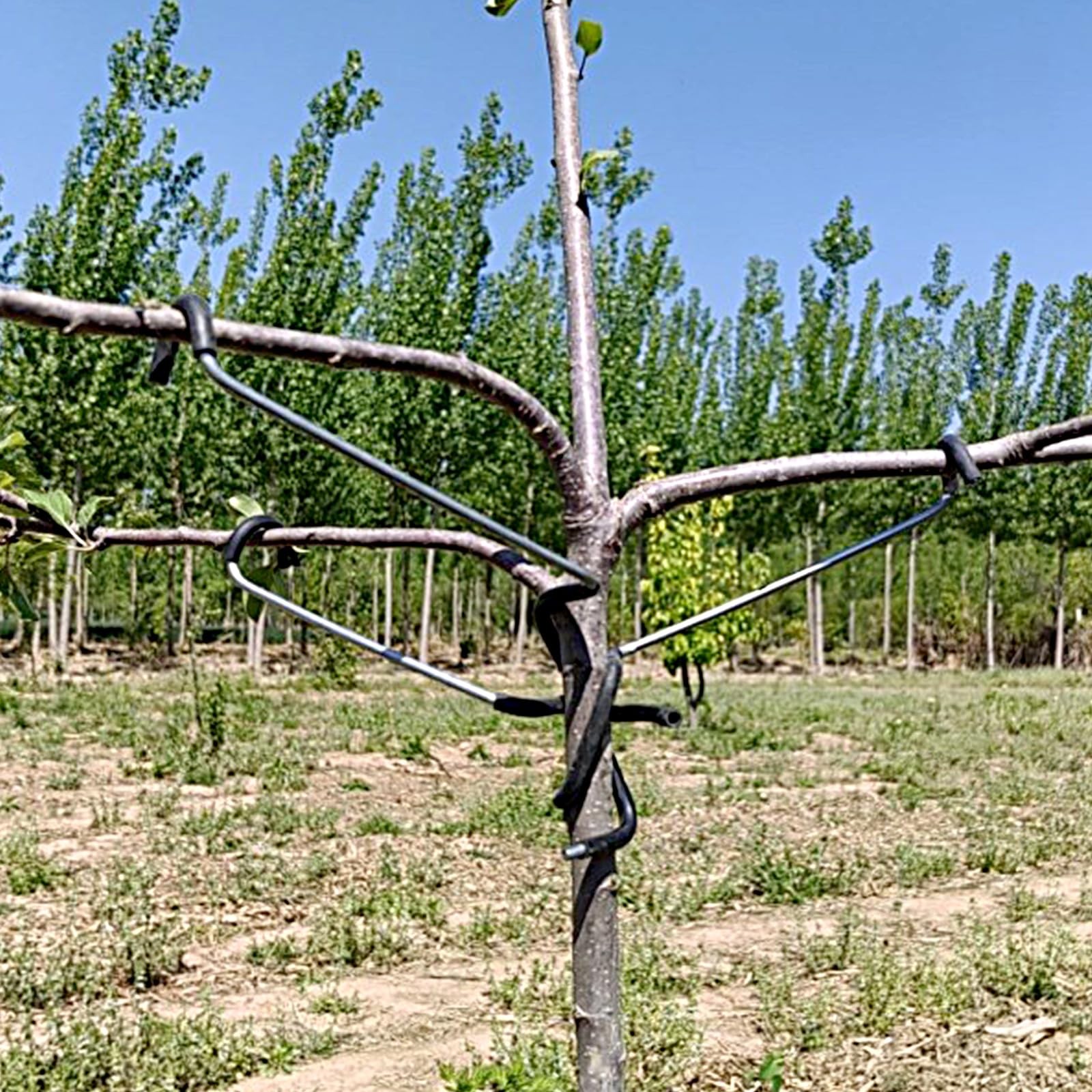 20PCS Fruit Tree Limb Spreaders Durable Support for New Branches 7 inches