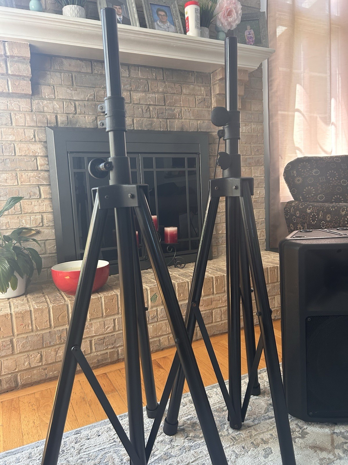 Electro-Voice SX100+ Passive Loudspeaker Black