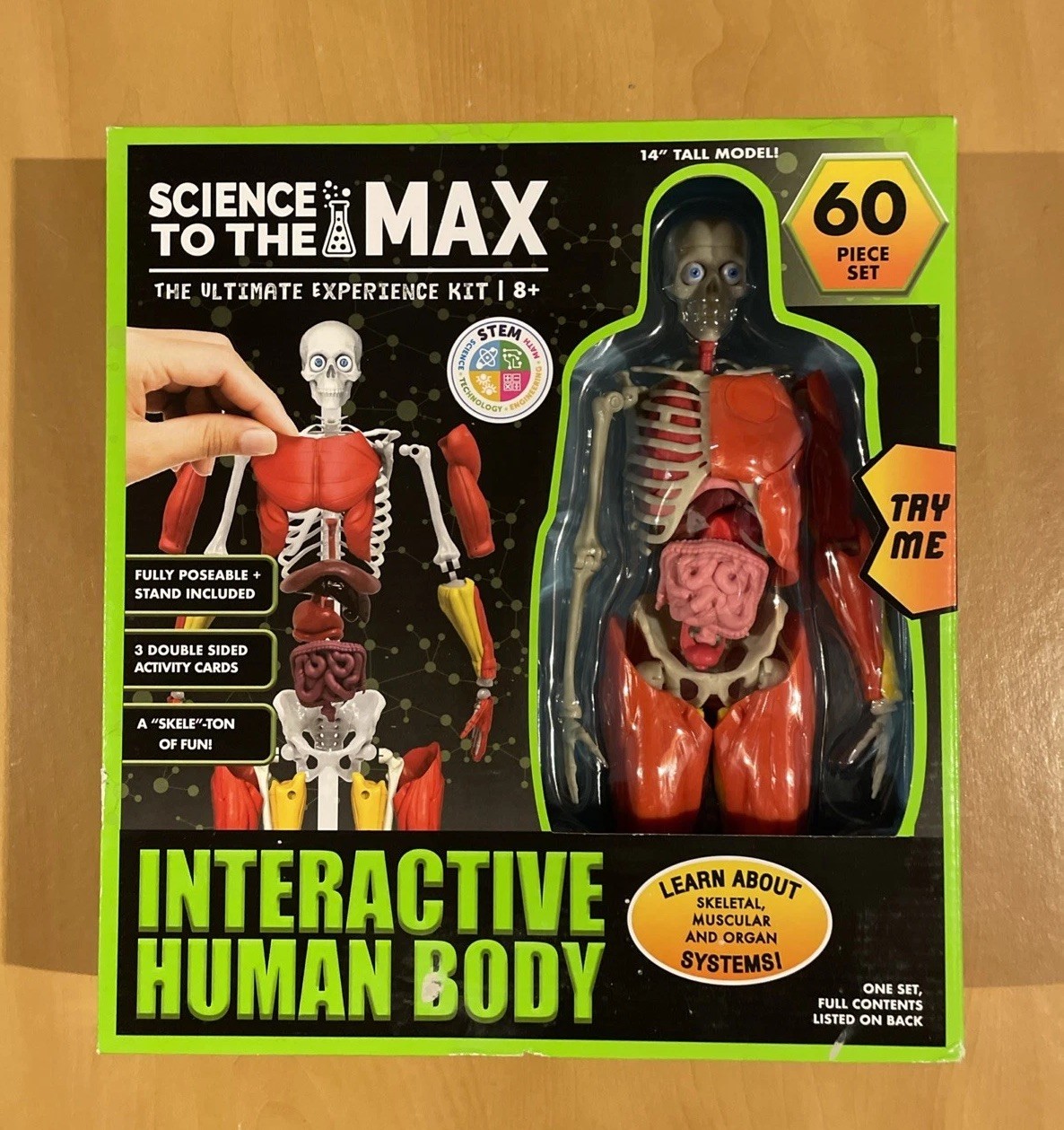 Science To The Max Interactive Human Body 60 Piece Set Brand New! Sealed!