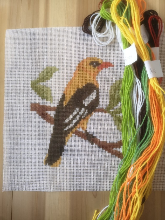 Printed needlepoint canvas kit 10 count 30x30cm