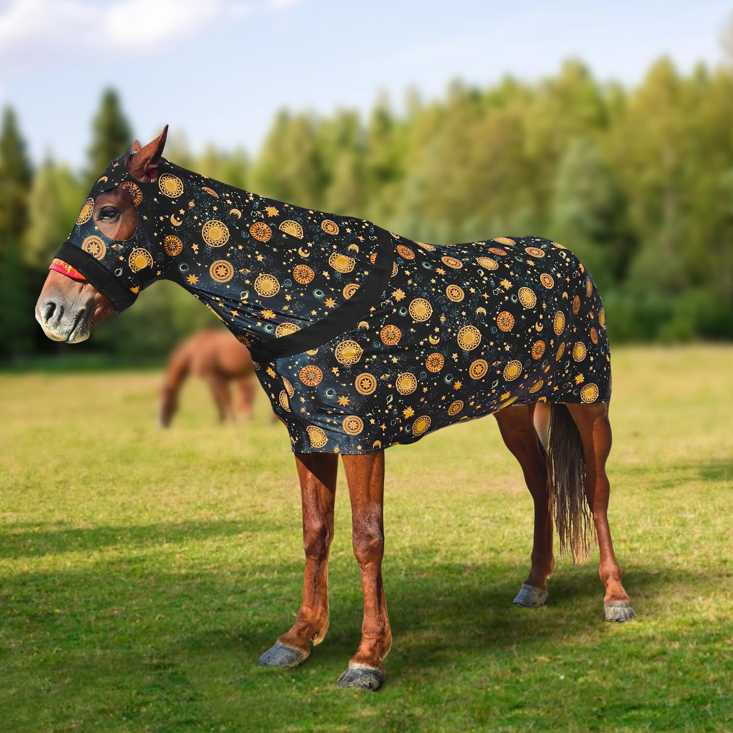 Stretch Spandex Full-Body Horse Sheet with Zipper Hood and Belly Wrap | Comfort