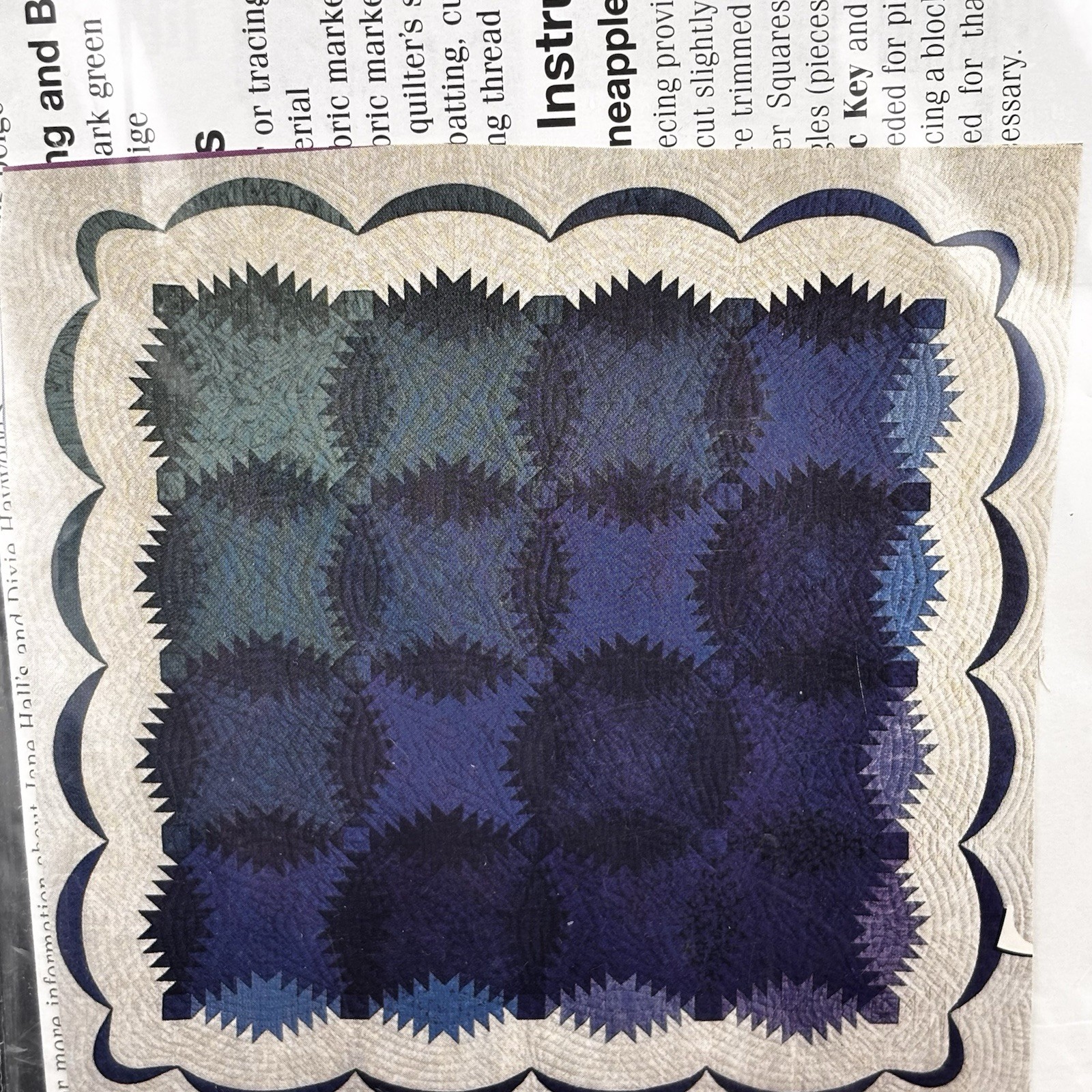 Summer Grapevines Quilting Pattern Rodale Press Designed By Jane Hall 1997 NOS
