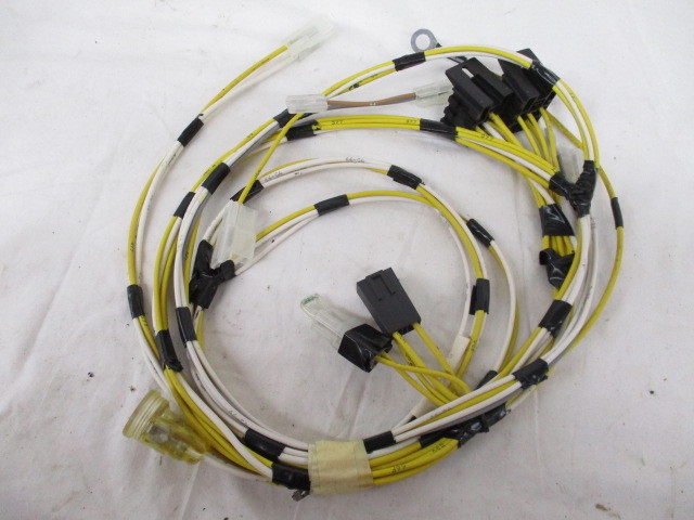 International Truck Harness (1675855C93)