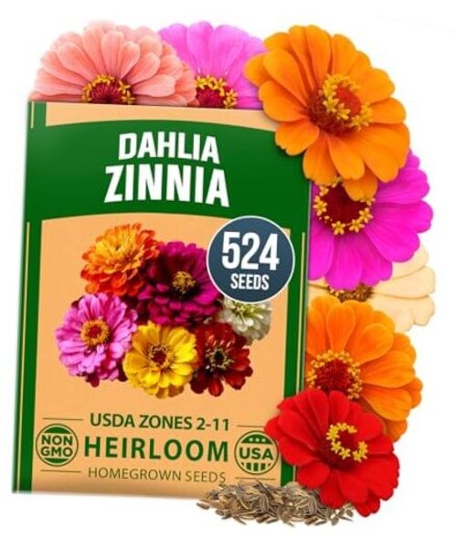 Seeds Pack for 2026 Non GMO 524 Flower Seeds | Vibrant 1-Pack Zinnia Dahlia
