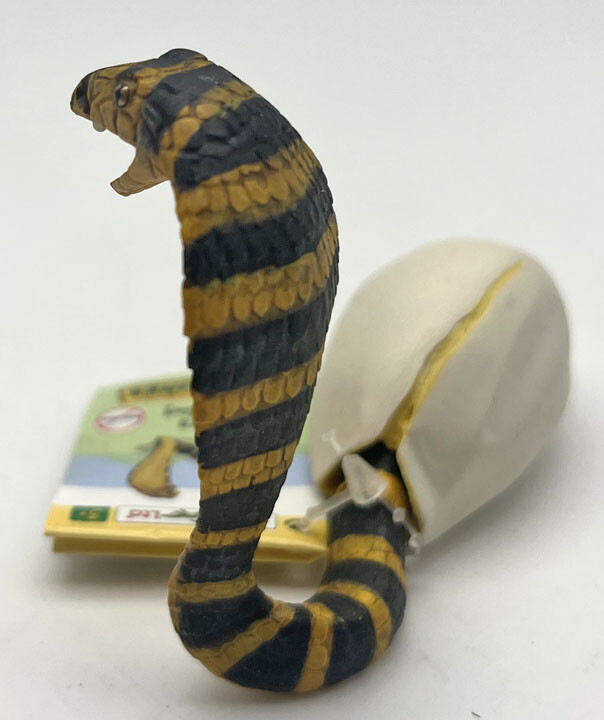 Hatching Cobra Snake - Discontinued Safari Item