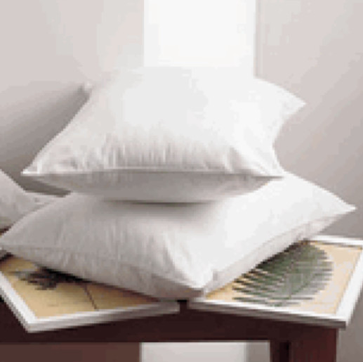 Bioshield EcoSmart Pillow Various Sizes