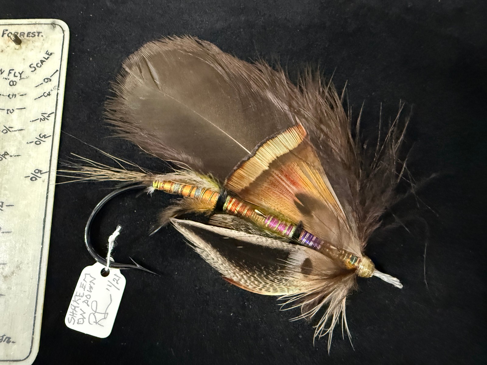 Splash Golden Pheasant Tippets RARE RARE