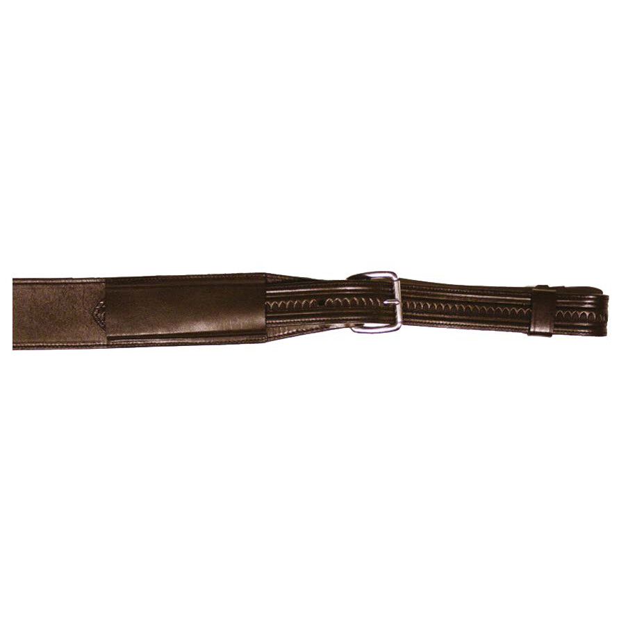 Circle Y Topeka Shell Tooled Flank CInch Set