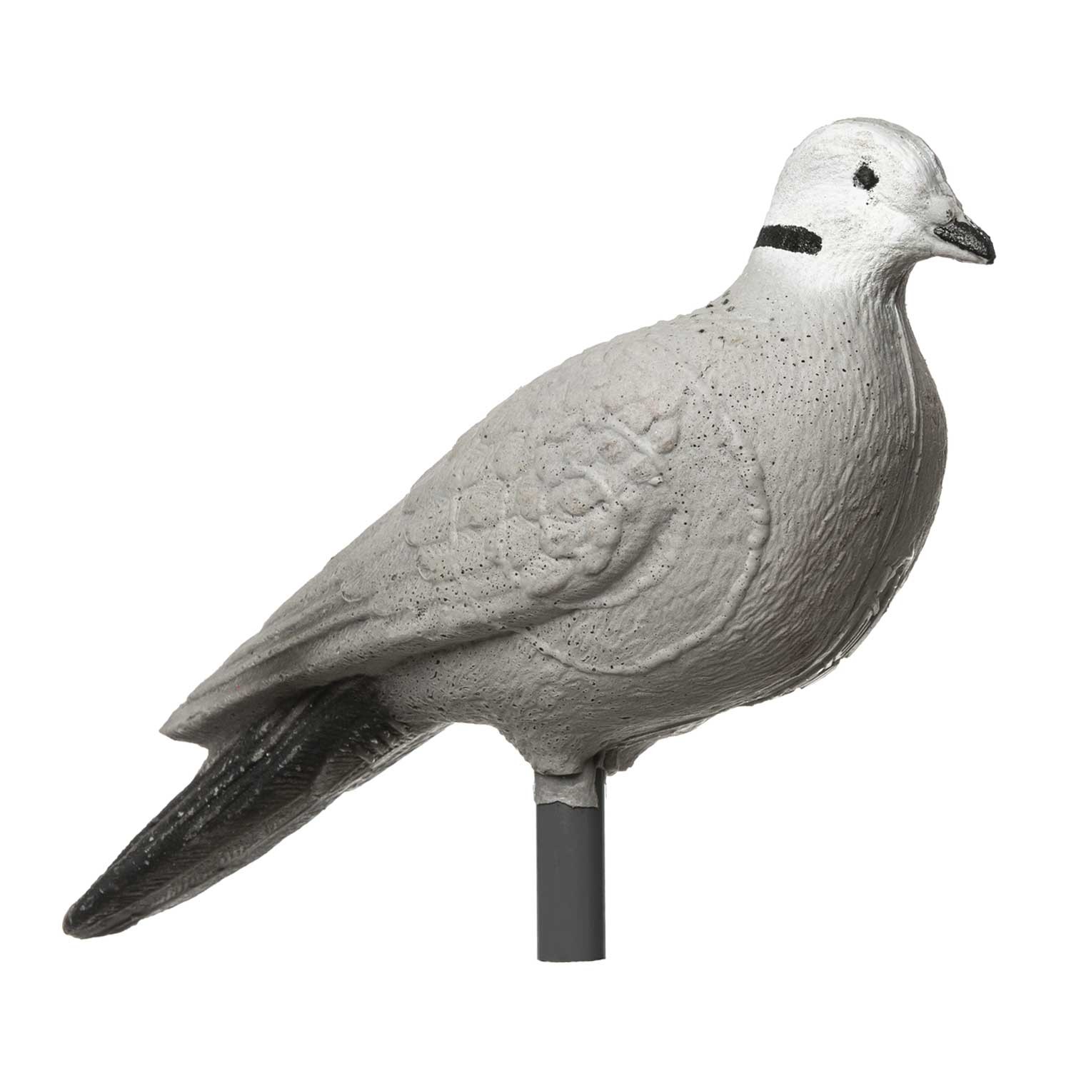 IBB 3D Animal Pigeon