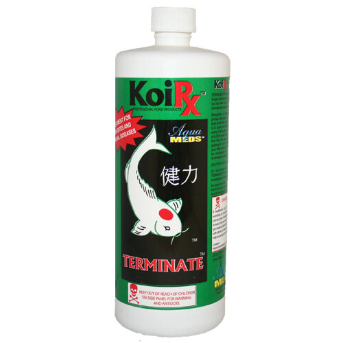 Aqua Meds Terminate Parasite & Fungus Treatment