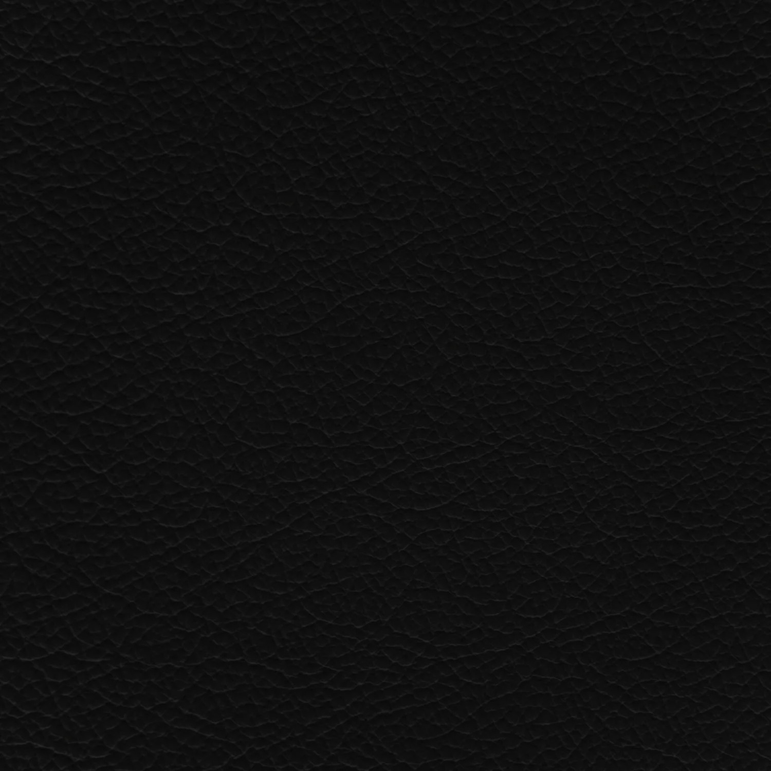 Chrysler/Dodge/Jeep/Plymouth Black Leather Dye