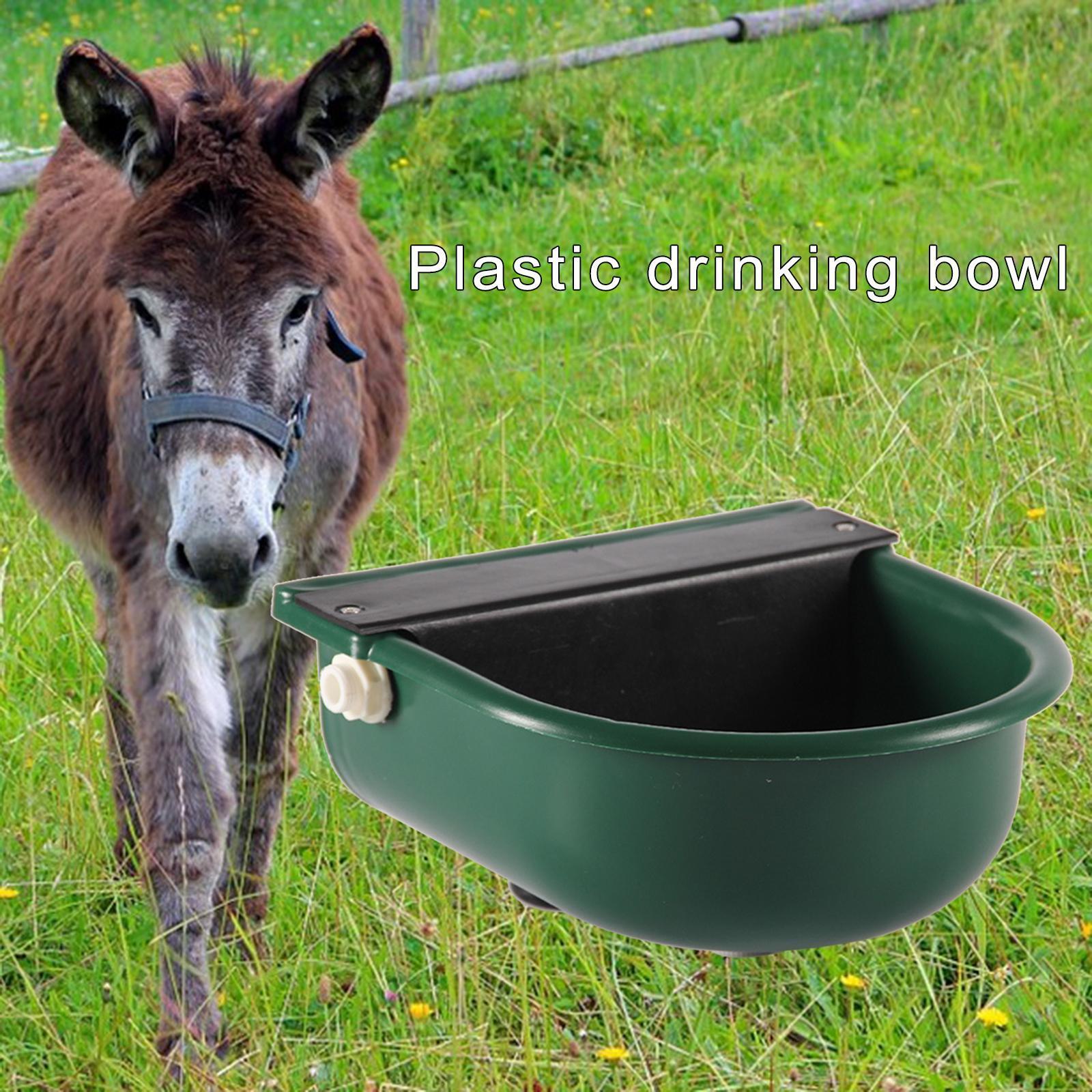 Automatic  Horse Drinking Water Bowl Large Waterer  Water Fountain