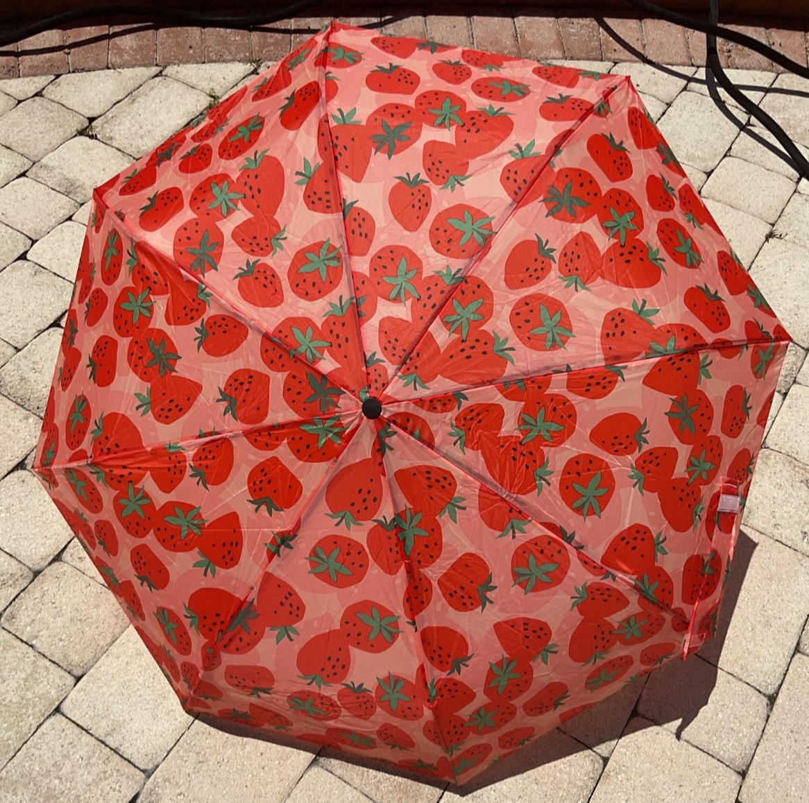 RAINY SKIES UMBRELLA RED AUTO OPEN CLOSE  STRAWBERRIES 40 INCH CANOPY NWT