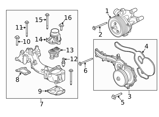 Genuine Ford Engine Water Pump Bolt W500815-S437
