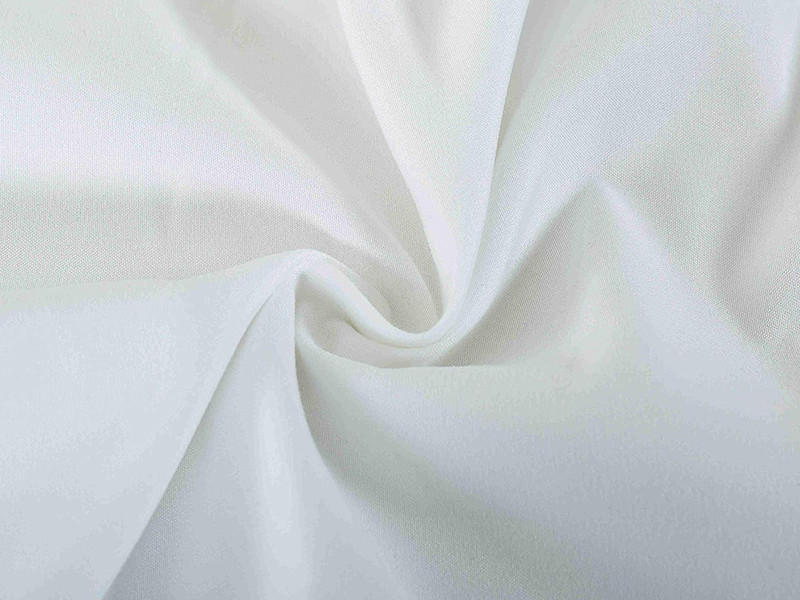 Evolive Ultra Soft Brushed Microfiber Standard Size 20"x30" Pillowcases Pair Set