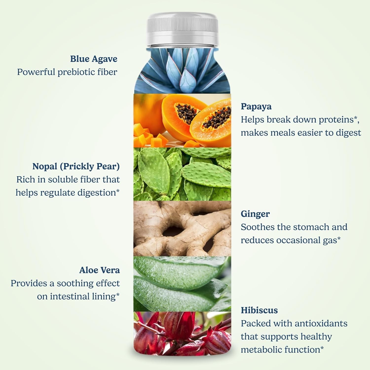 Digestion Plus, Concentrated Blue Agave Drink, 30 Servings, Passionfruit Flav...
