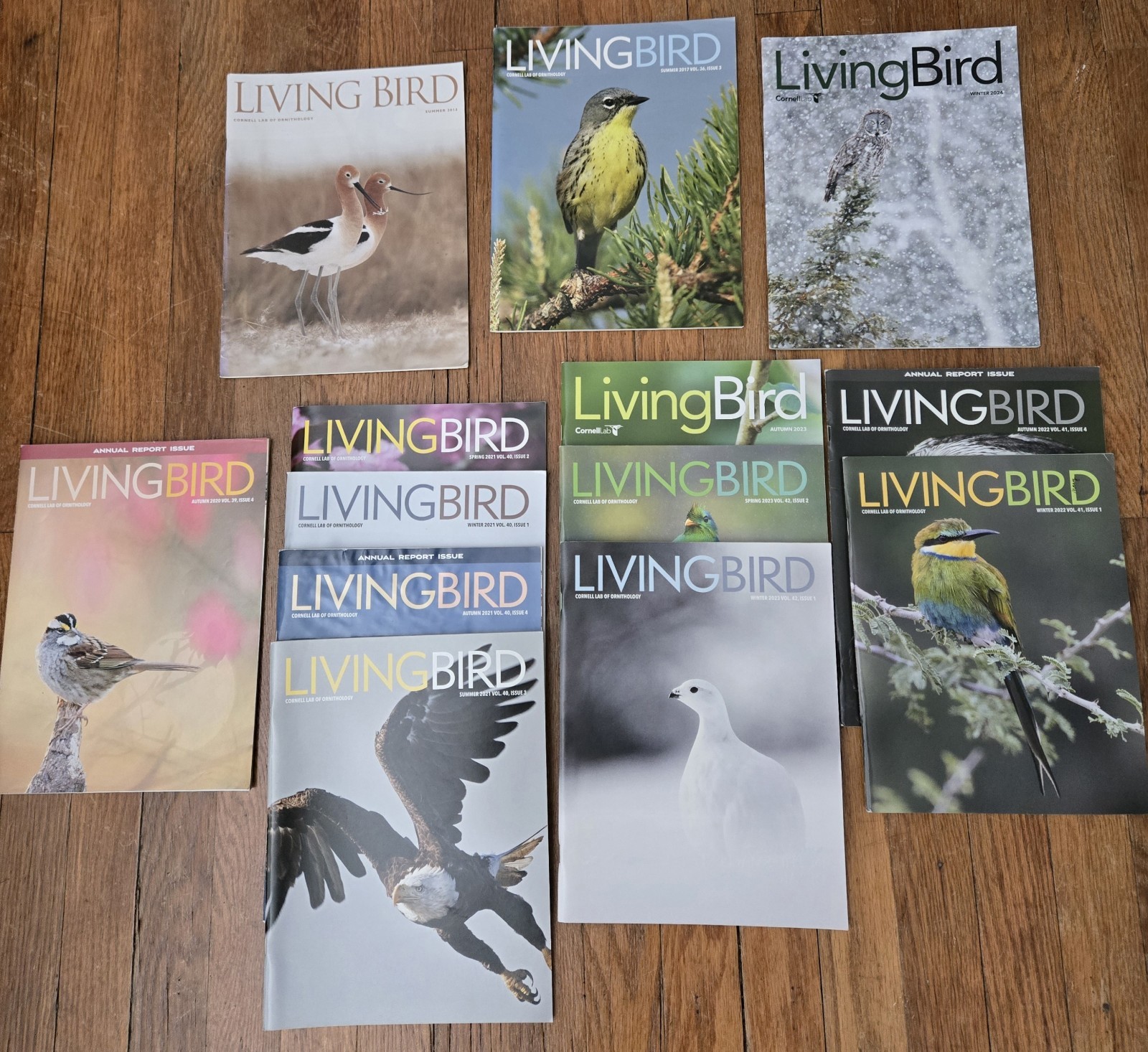 Living Bird Magazine LOT. Of 13.  2013-2024 Cornell Lab Of Ornithology