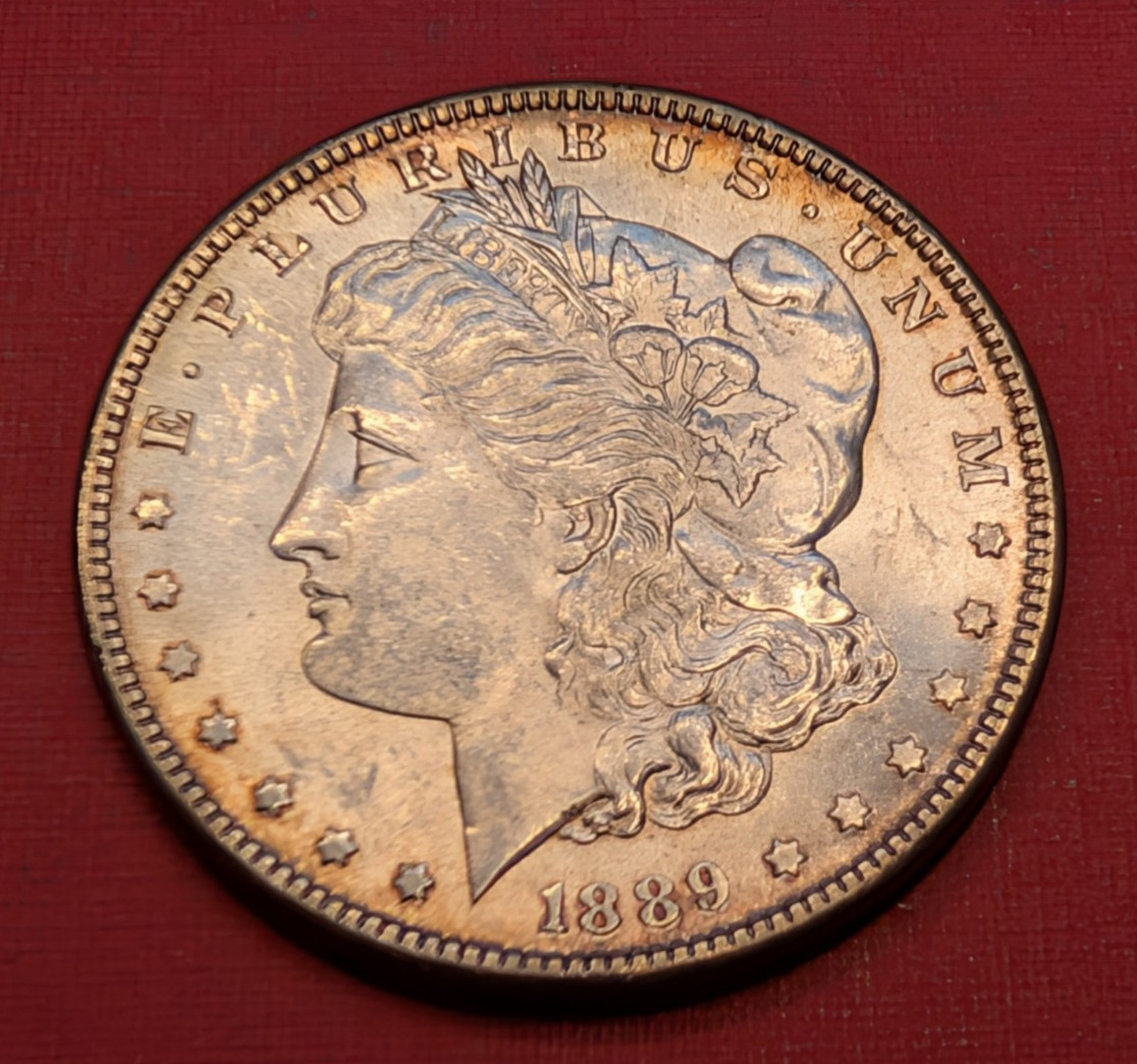1889P BU Morgan Silver Dollar w/Halo Toning 260429
