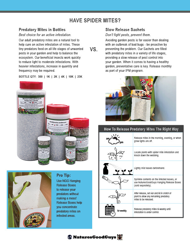 Slow Release Sachets - Neoseiulus californicus - Predatory Spider Mite Control