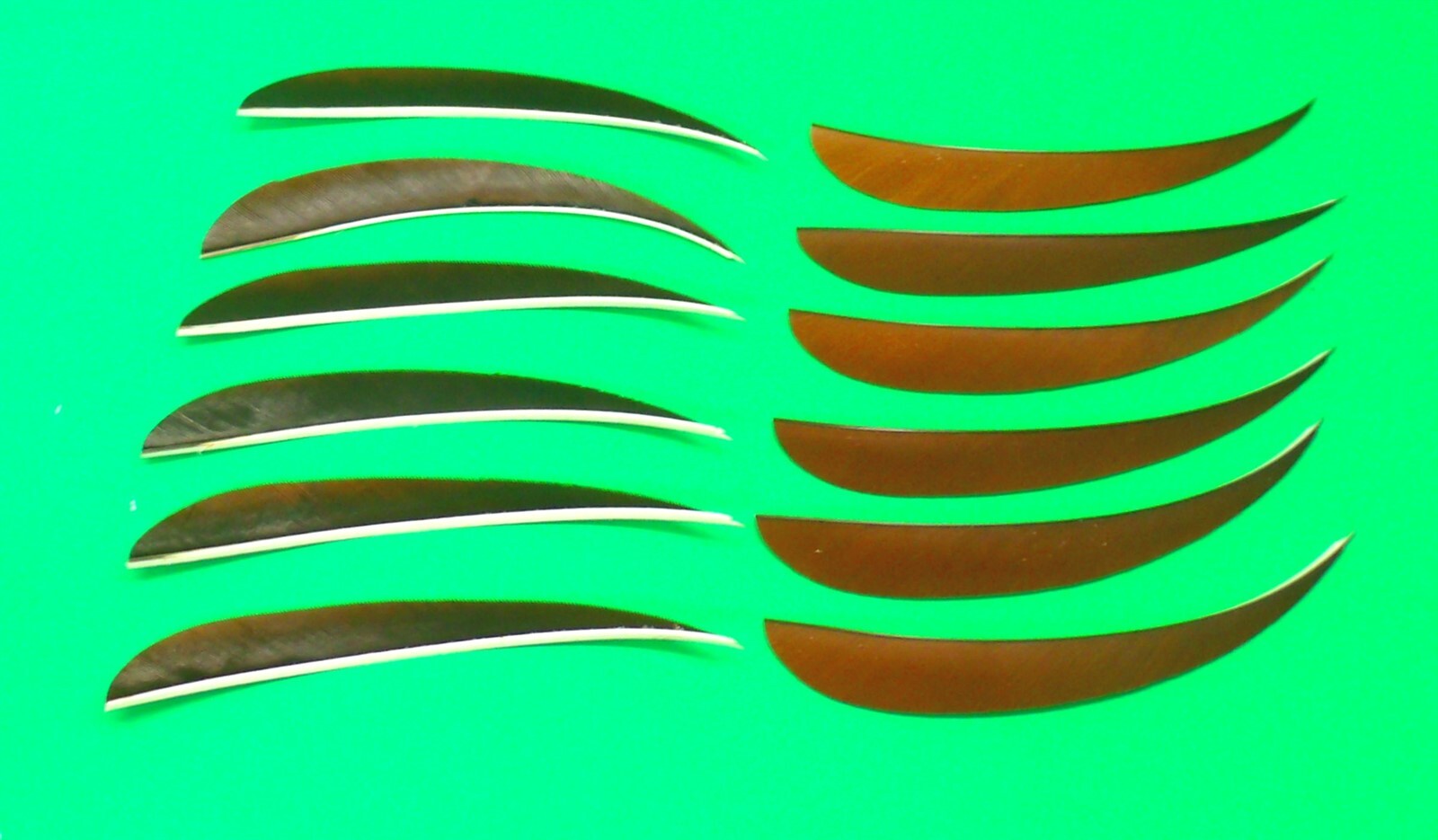 True Flight Feathers - 5" Left Wing Parabolic - Brown - New Dozen