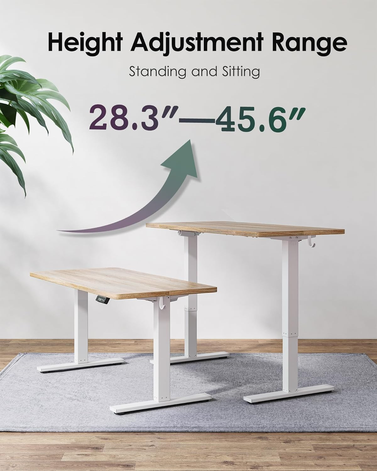 48 X 24 Inch Height Adjustable Electric Standing Desk, Maple | Smooth Height Adj