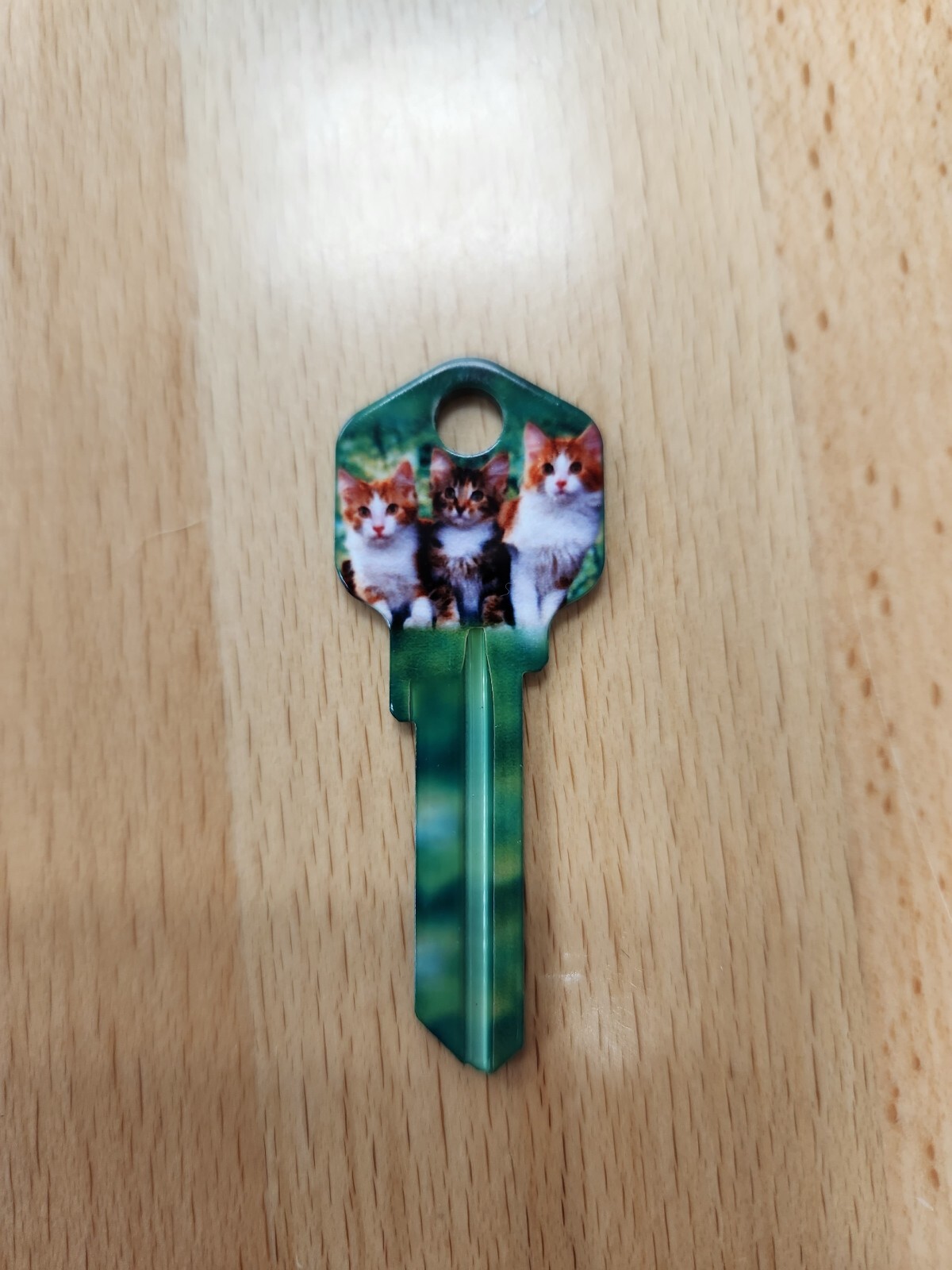 KITTENS PRINTED KWIKSET KW1/KW10 KEYBLANK - READ DETAILS BELOW