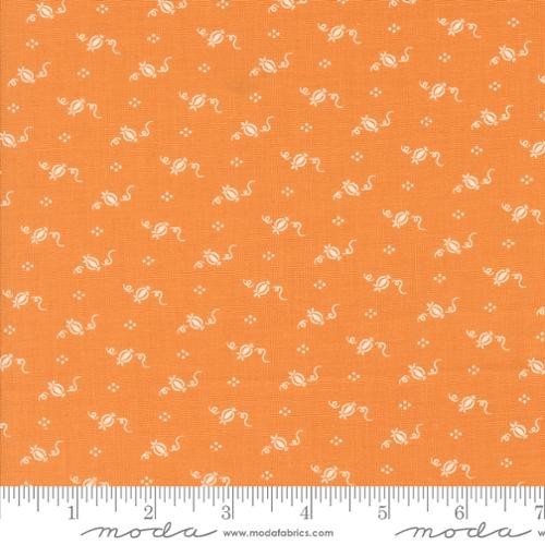 AGATHA ROAD  Tiny Pumpkins in Pumpkin  by Fig Tree/MODA  35416 12