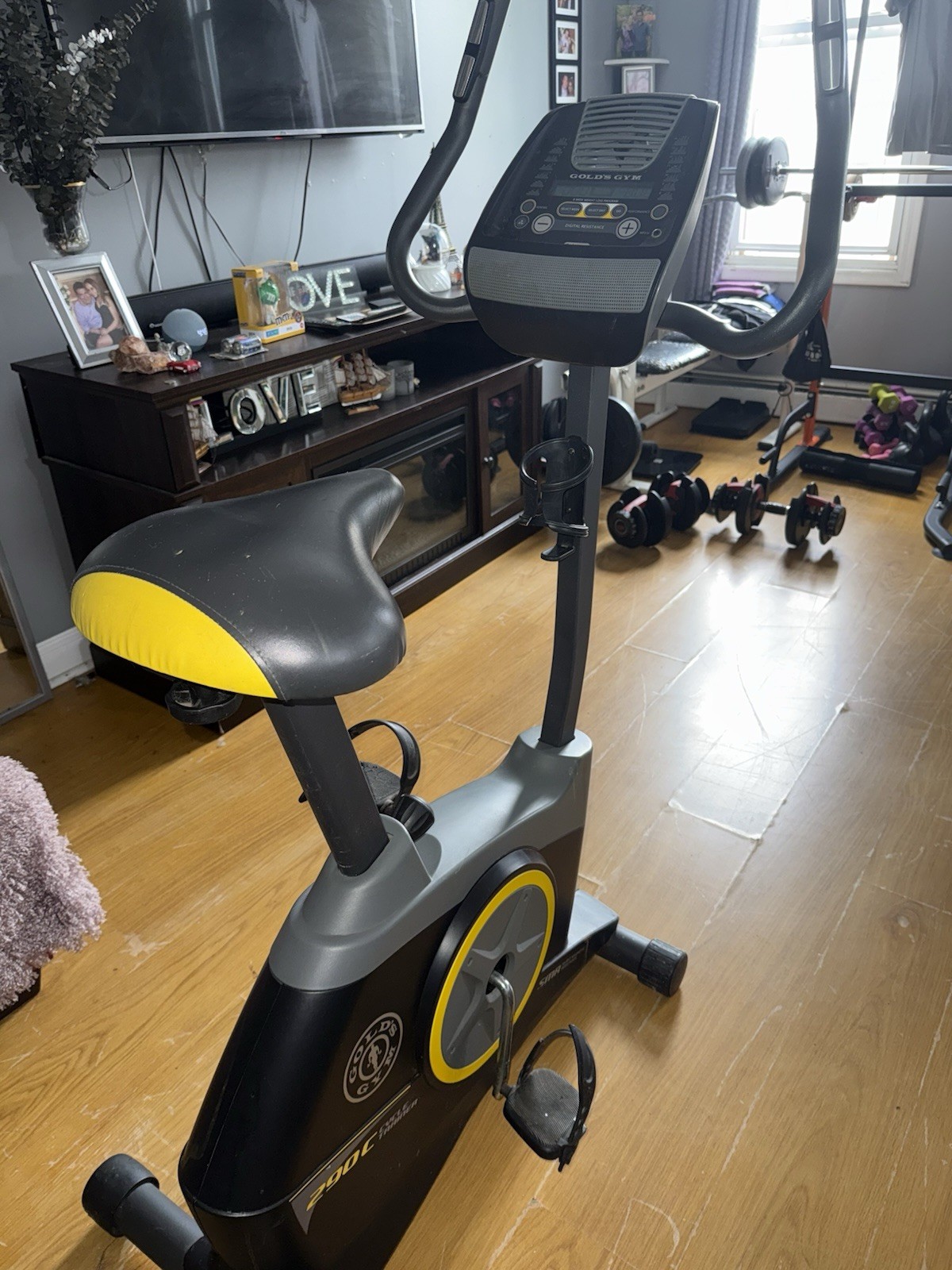 Golds Gym Cycle Trainer 290 C Stationary Bike Black with Monitor & Manual  Used