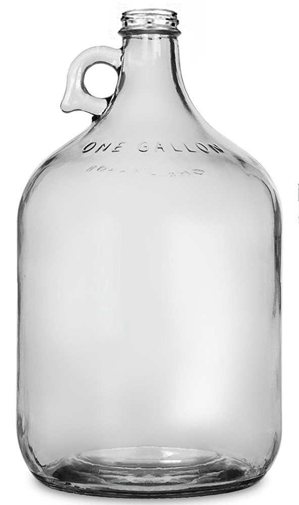 1 Gallon glass Jug (Carboy/Fermenter)