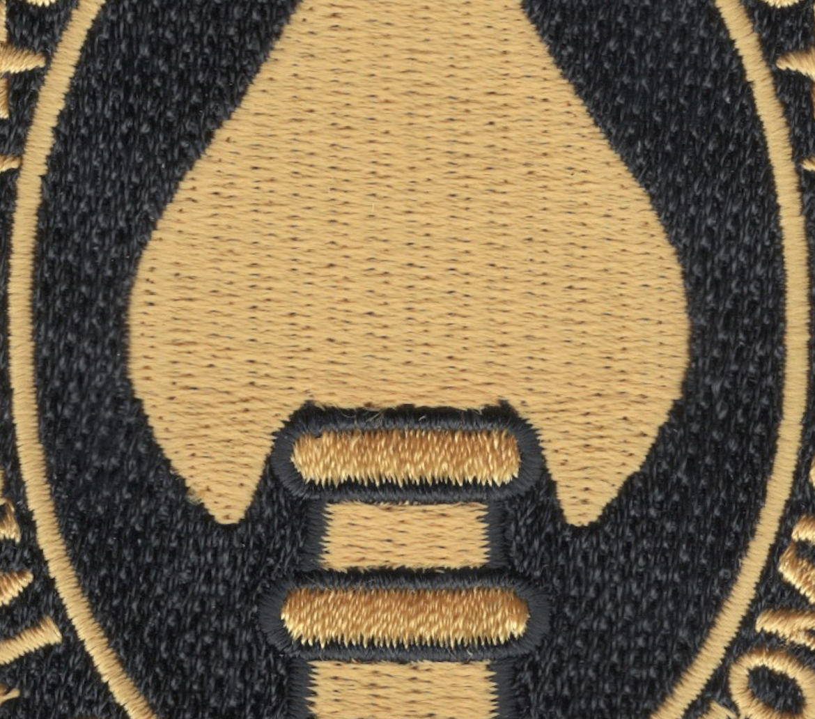 Special Operations Command Patch