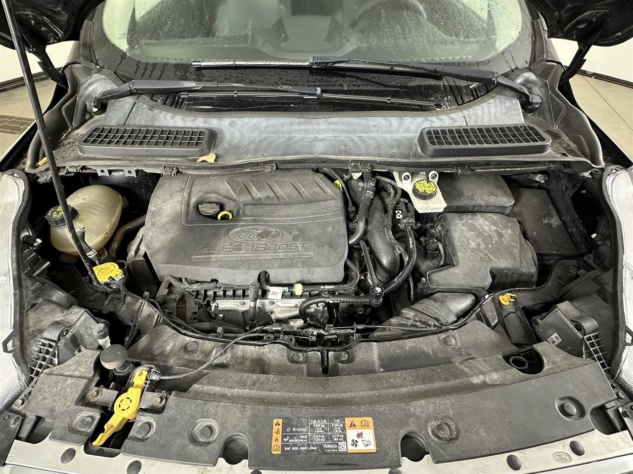 Passenger Right Front Spindle/Knuckle Fits 13-19 ESCAPE 2801151