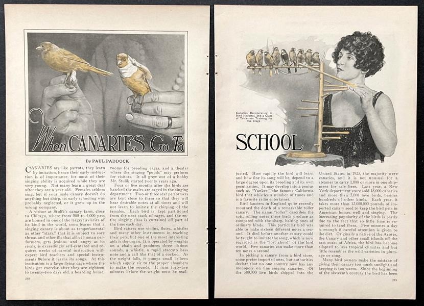 “When Canaries Go To School” Stulik’s Canary Farm 1927 article Singing~Training