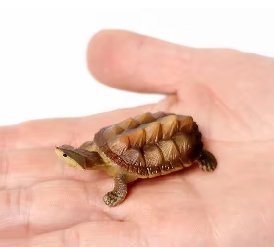 Matamata Turtle Animal Figure Toy PVC Wildlife Small Figurine Birthday Gifts