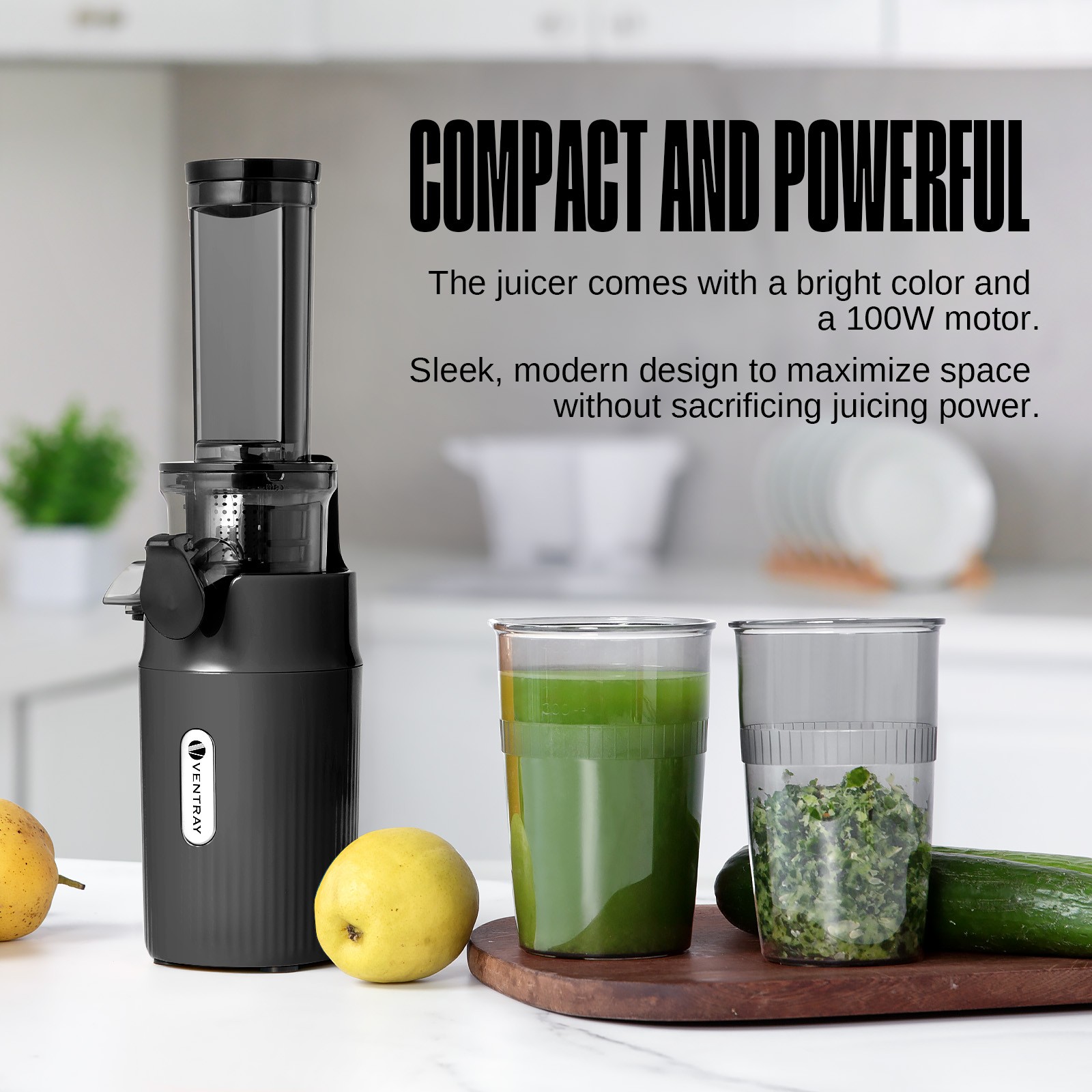 Ventray Essential Ginnie Juicer Compact Small Cold Press Juicer Slow Juicer