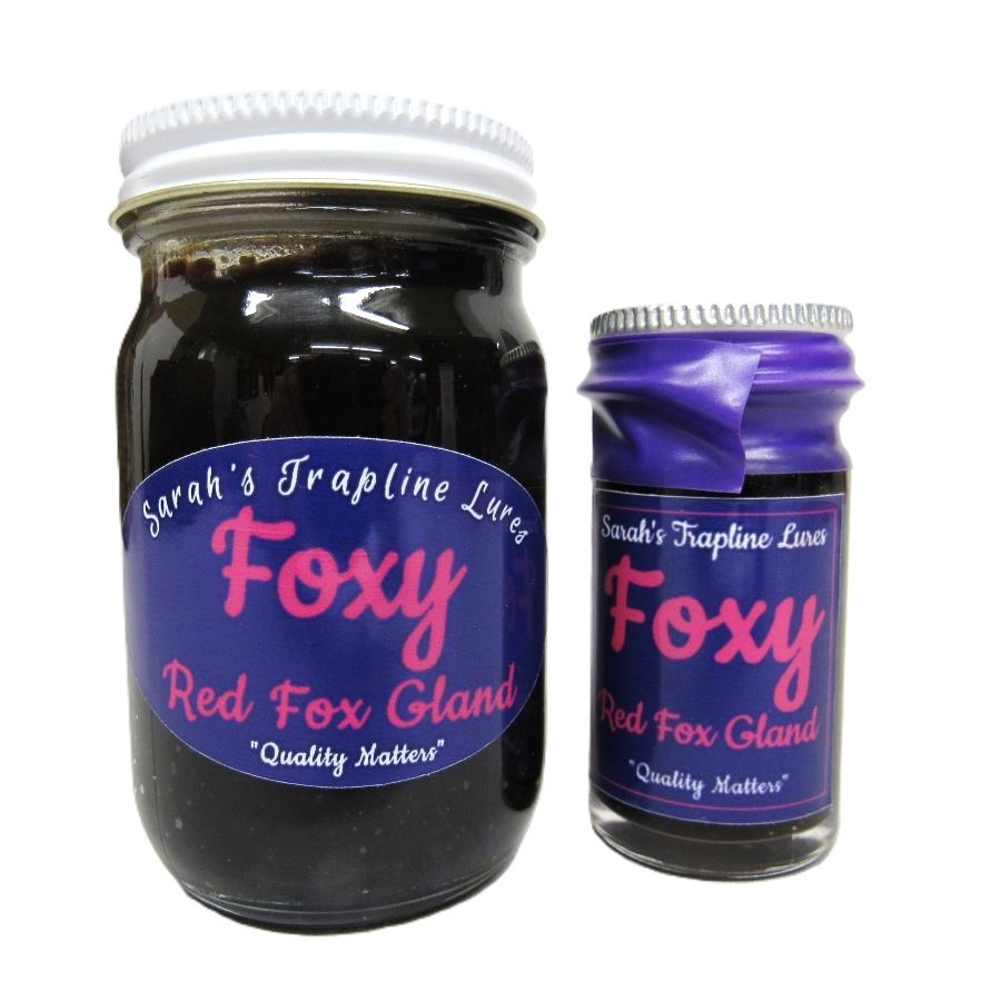 Foxy Red Fox Gland Lure SheTraps Sarahs Trapline Lures