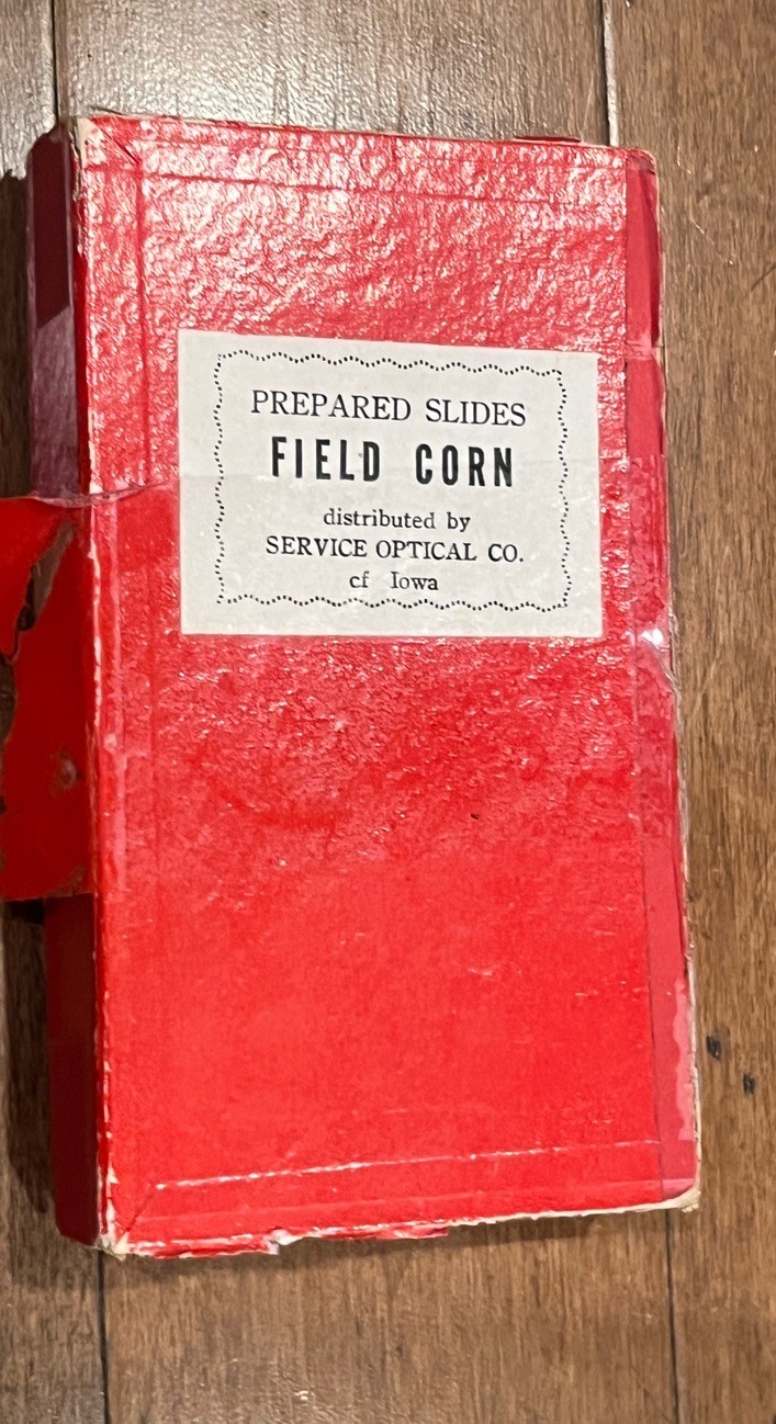 Box Of Prepared Slides - Field Corn !